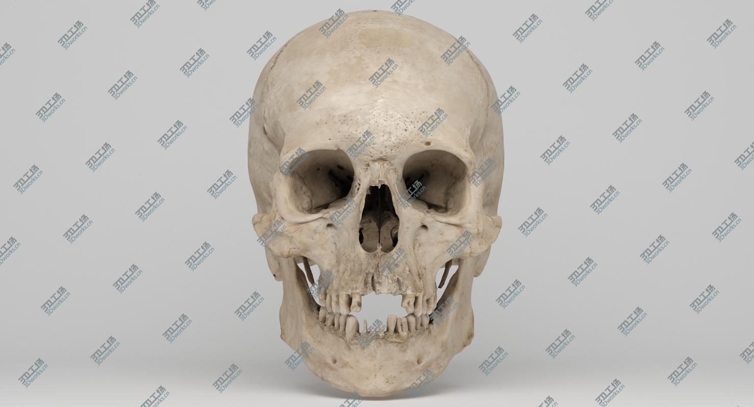 images/goods_img/20210313/Real Human Skull 3D Scan 02/1.jpg